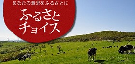 ふるさとチョイスバナー