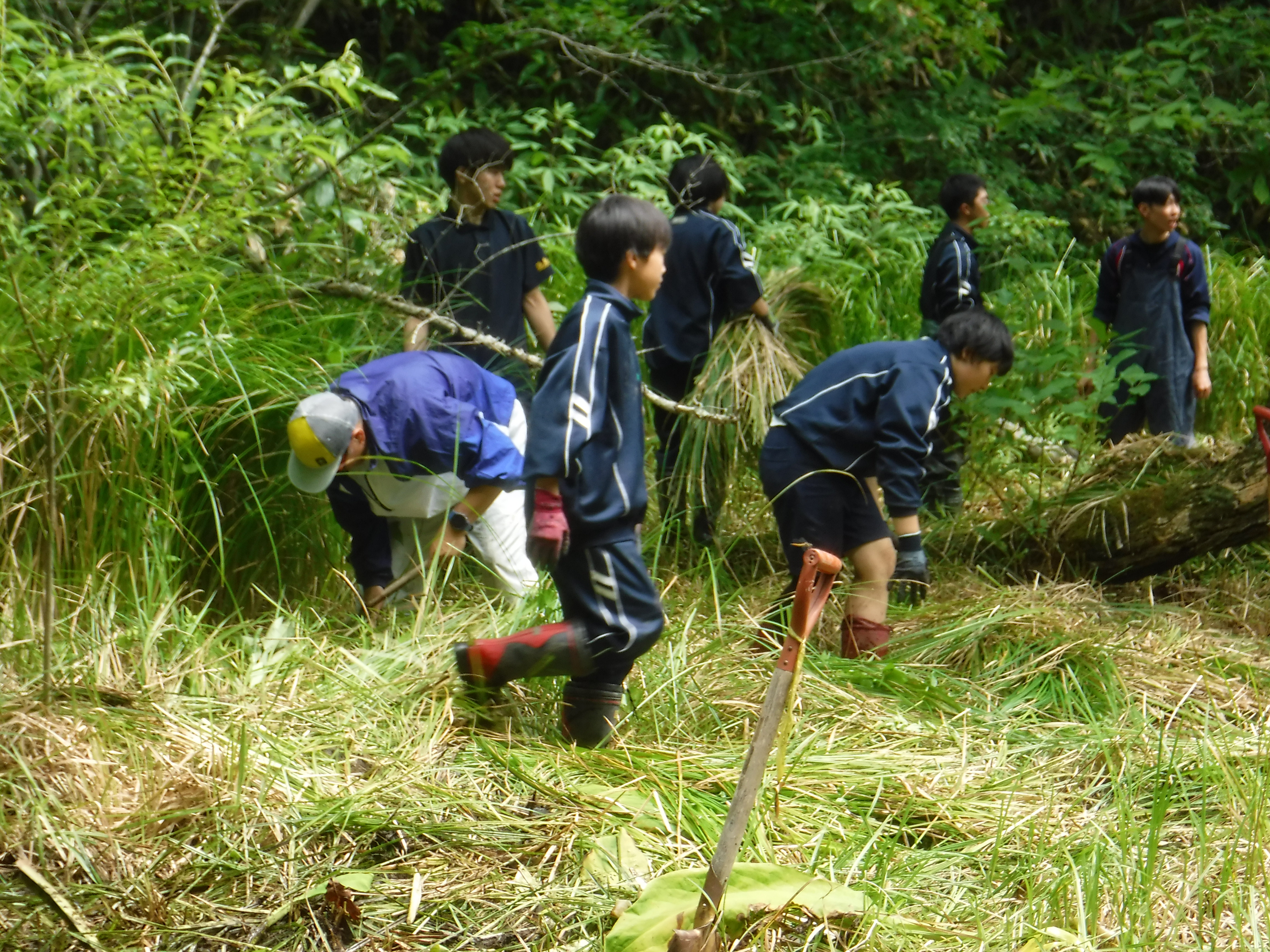 ７月中高一貫奉仕作業