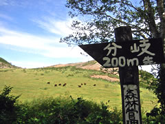 遠別岳・安家森登山コース