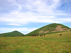 遠別岳・安家森登山コース