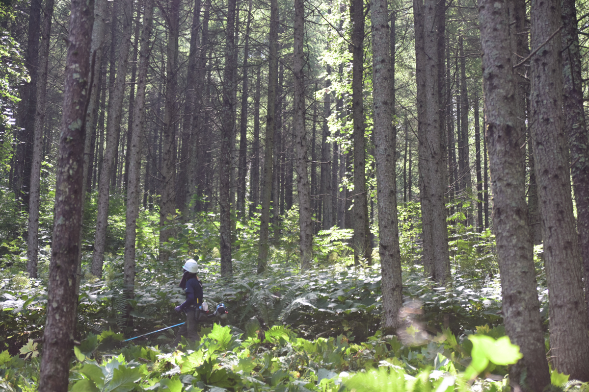 写真２
